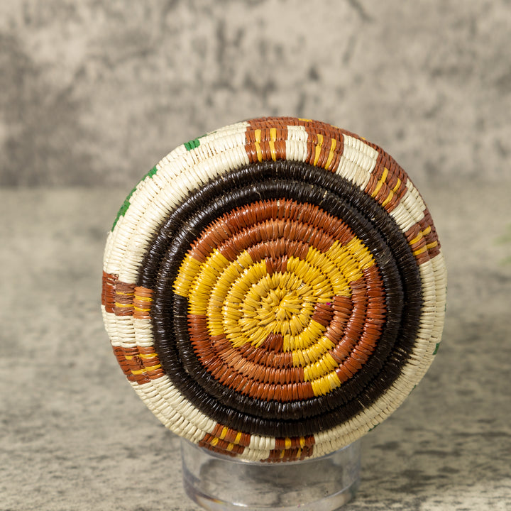 Small Jungle Critter Rainforest Basket