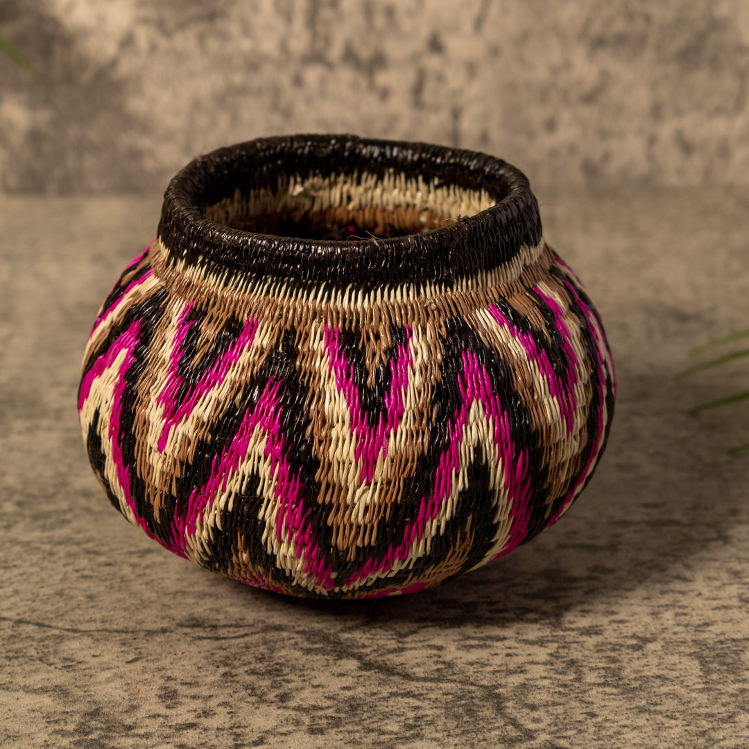 Violet Jungle Star Silhouette Rainforest Basket