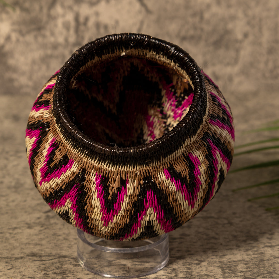 Violet Jungle Star Silhouette Rainforest Basket