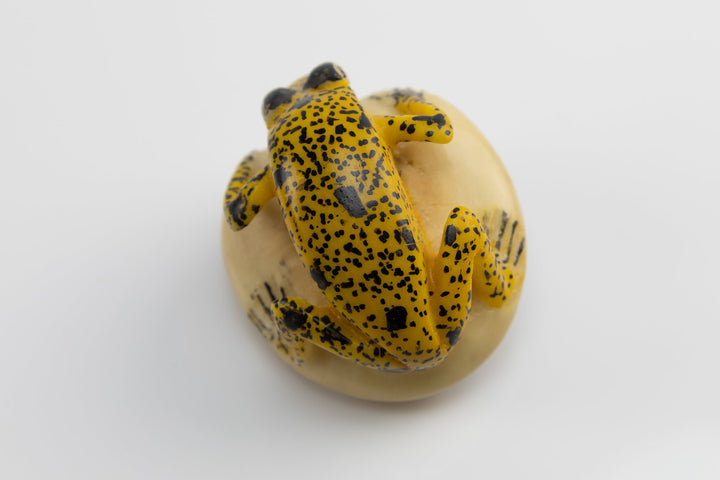 Hand Carved Tagua Nut Frog