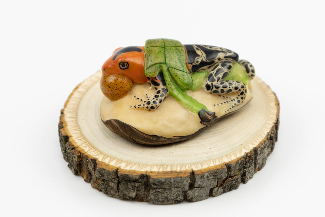 Hand Carved Blow throat Poison Dart Frog Tagua Nut Made By Wounaan And Emberá Panama Indians. Animal Statue, Carving Miniature, Figurine