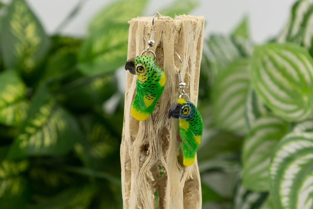 Classic Hand Carved Tagua Nut Parrot Earrings Panama