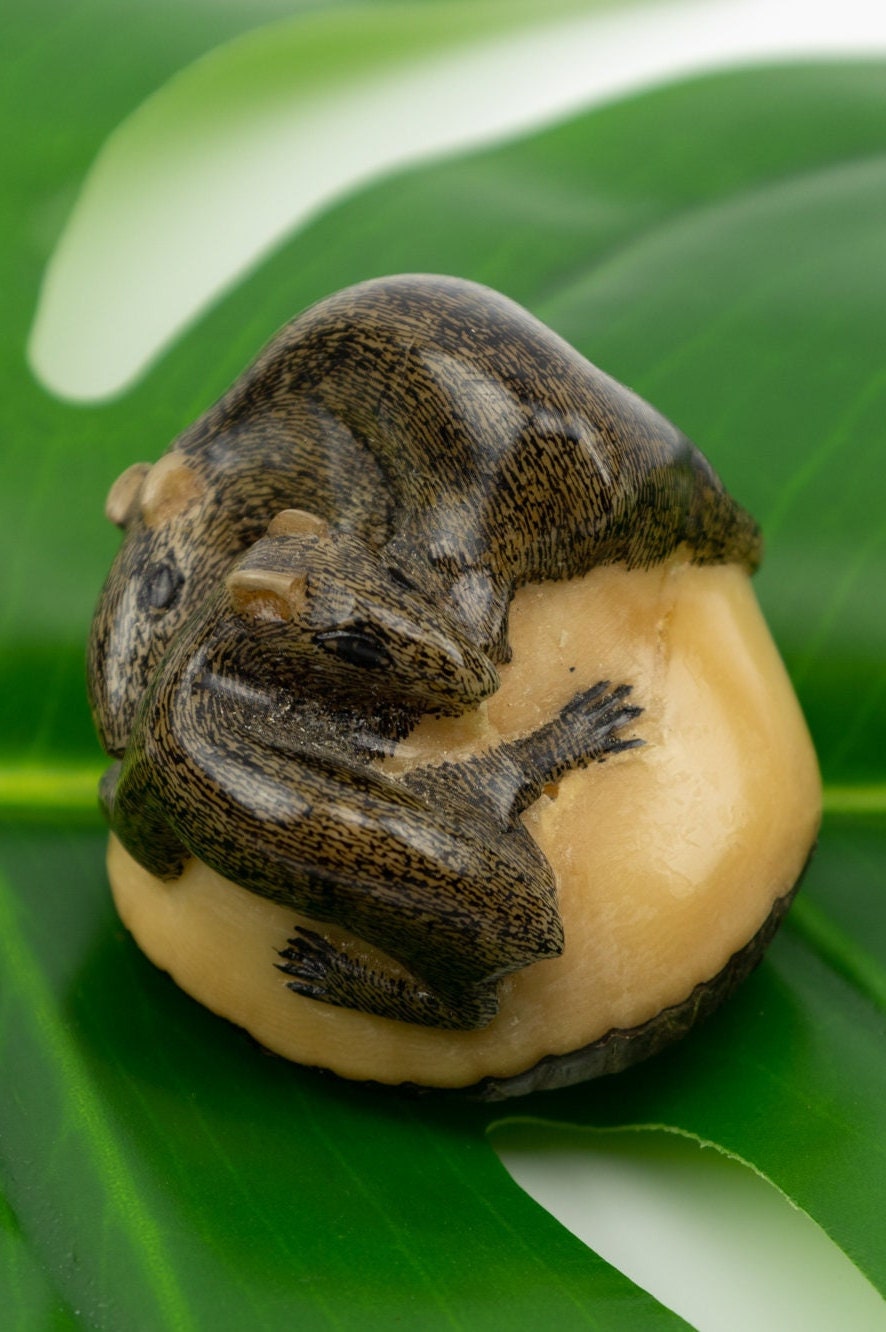 Hand Carved Neque Agouti Tagua Carving Made By Wounaan And Emberá Panama Indians. Animal Statue, Carving Miniature, Figurine, Decoration